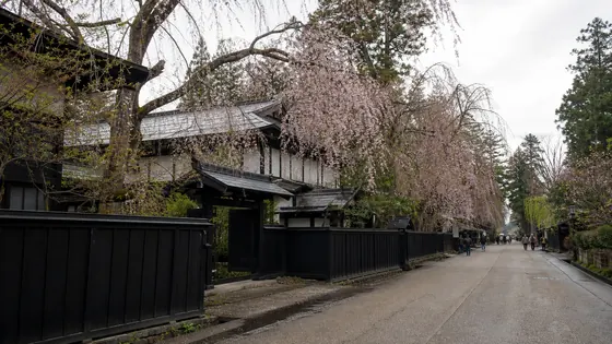 秋田県