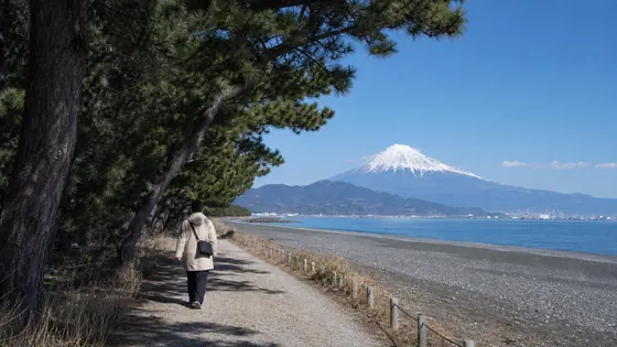 静岡県