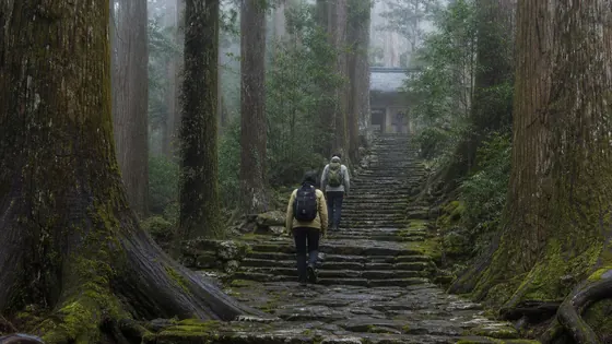 和歌山県